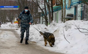 Кинолог