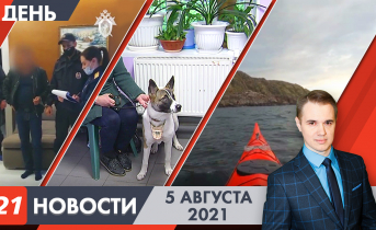 Полное видео программы «Дневные новости» Дневные новости