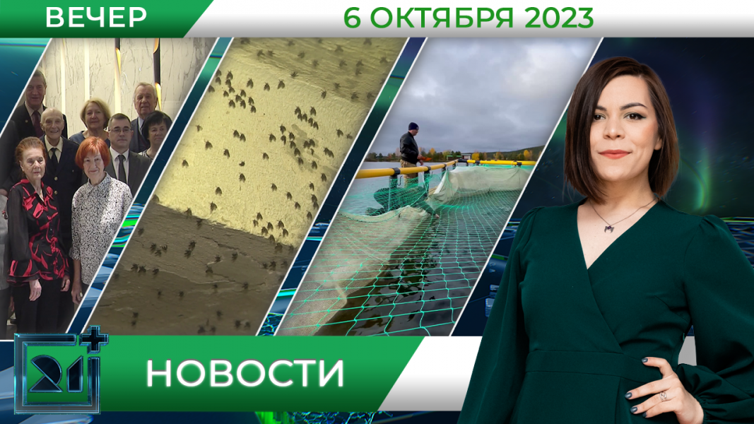 Новости