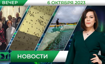 Новости