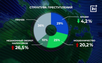 Статистика преступлений в Мурманской области Статистика преступлений