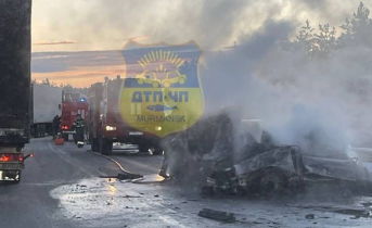 Прокуратура взяла на контроль расследование смертельного ДТП в Мурманской области ДТП