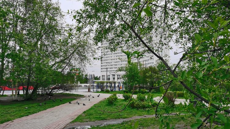 Стало известно количество заболевших коронавирусом в Мурманской области за сутки Мурманск