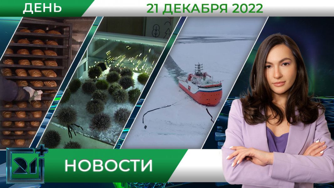 Полное видео программы «Дневные новости»