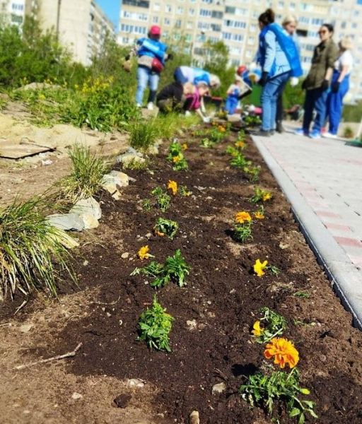 Волонтеры «Комбината добра» озеленяют Заполярный