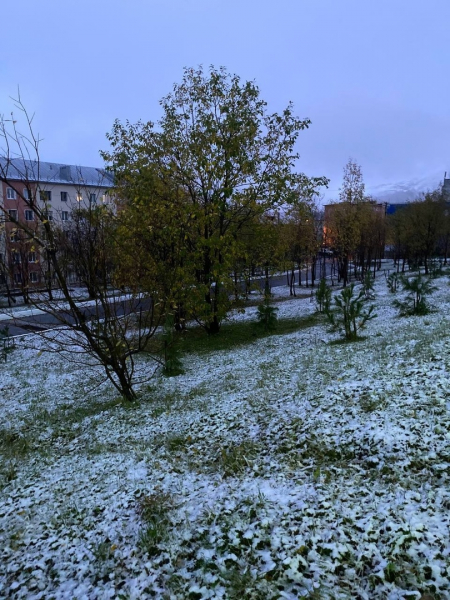 Первый снег Снег