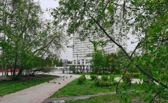 Стало известно количество заболевших коронавирусом в Мурманской области за сутки Мурманск