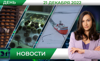 Полное видео программы «Дневные новости»