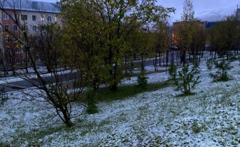 Снег