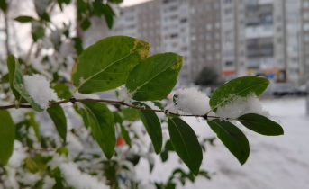 Температурные качели Снег