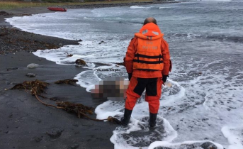 Пропавшую женщину в Мурманской области нашли погибшей Баренцево море
