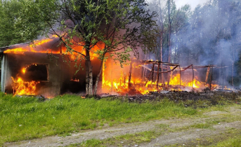 пожар в Мурманской области