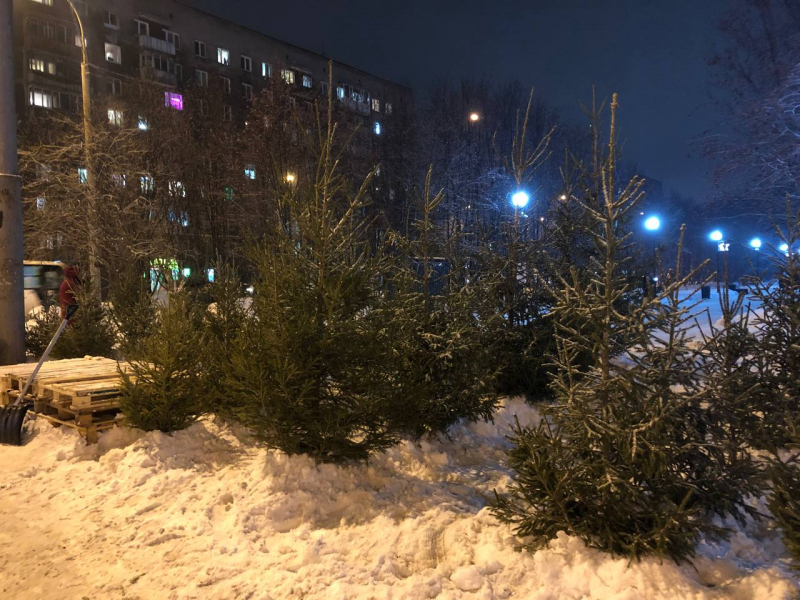 Елочки