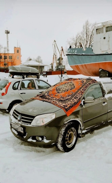 В Мурманской области автомобиль «утеплили» необычным способом Автомобили