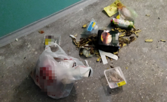 Северяне возмущены поведением соседей в Мурманской области Мусор