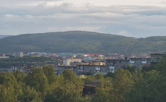 Гнилая черешня Мурманск