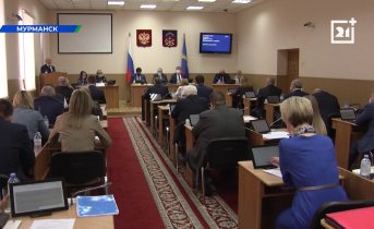 В Мурманске обсудили порядок выплат для молодых мам Госдума
