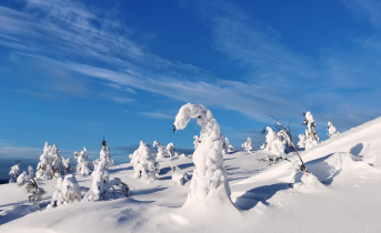 Снег 