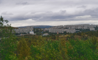 Кража в магазине Мурманск