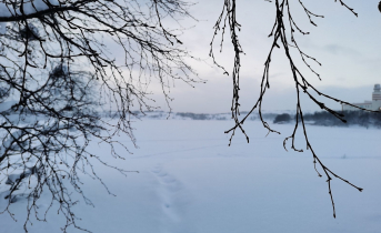 Снег