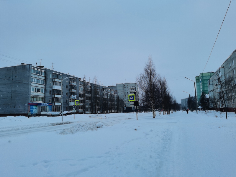 Огромная змея поселилась в городе Мурманской области Город, змея