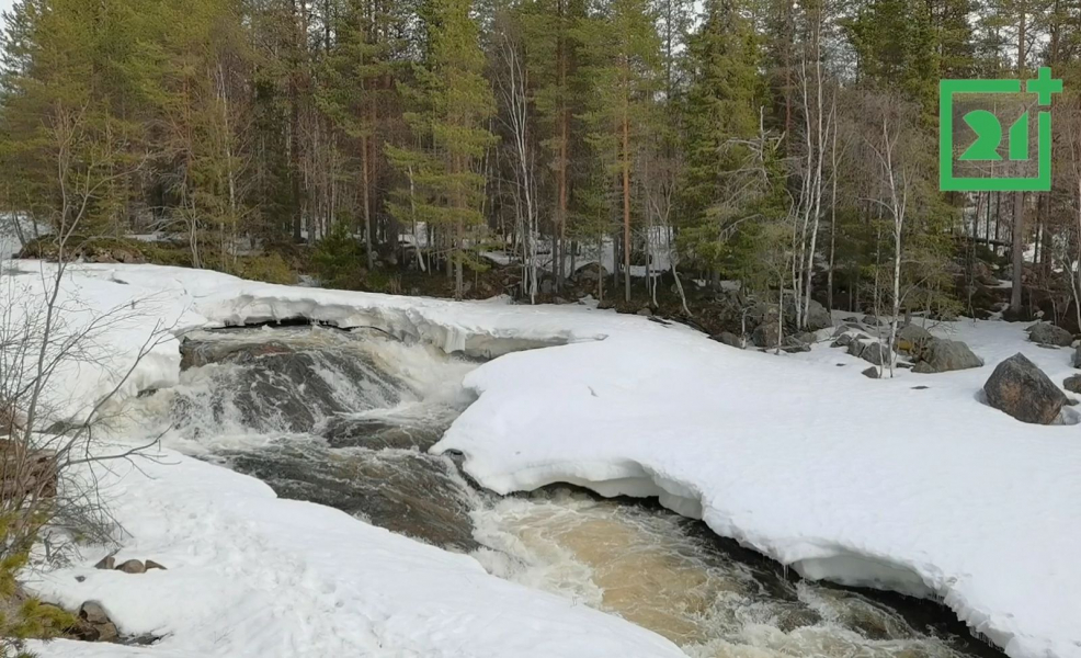 В Мурманской области сняли зрелищные кадры водопада в мае Водопад