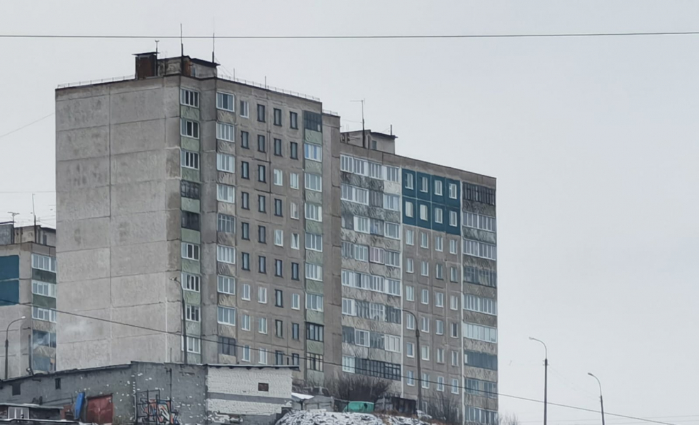 Неожиданная находка в подъезде удивила мурманчанку Дом