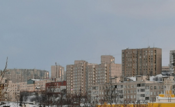 Мать сдала дочь полицейским в Мурманской области Дома