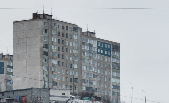 Неожиданная находка в подъезде удивила мурманчанку Дом