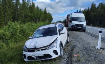 ДТП с пострадавшими произошло на трассе в Заполярье ДТП