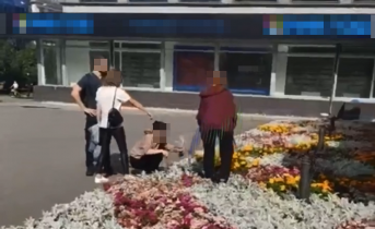 В Мурманске прокомментировали резонансное видео Мурманск