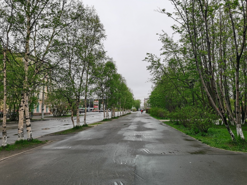 70-летнему северянину грозит до 11 лет тюрьмы Мурманск, дома, улица, деревья