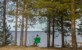 Лес