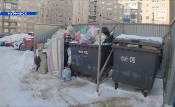 «Когда увезут?» Мурманчане массово жалуются на залежи мусора мусор в Мурманске