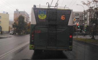 В Мурманске появился новый троллейбусный маршрут Троллейбус