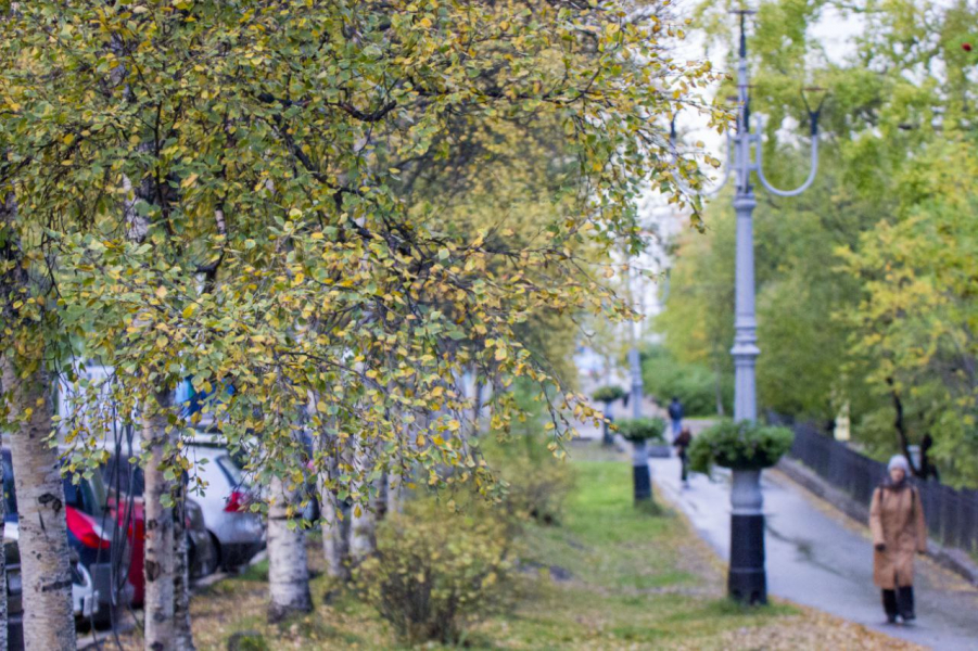город