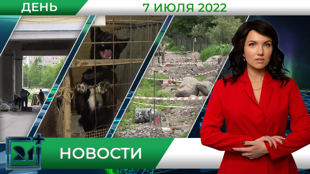 Полное видео программы «Дневные новости»