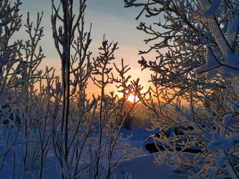 Погода