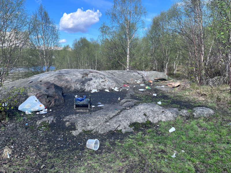В зоне отдыха в Мурманске устроили свалку Свалка