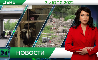 Полное видео программы «Дневные новости» Полное видео программы «Дневные новости»