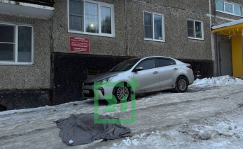 Из окна многоэтажки в Мурманске выпала девушка. Северянка погибла Труп