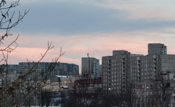 В Мурманске рассказали о поисках пропавшего ребенка Мурманск