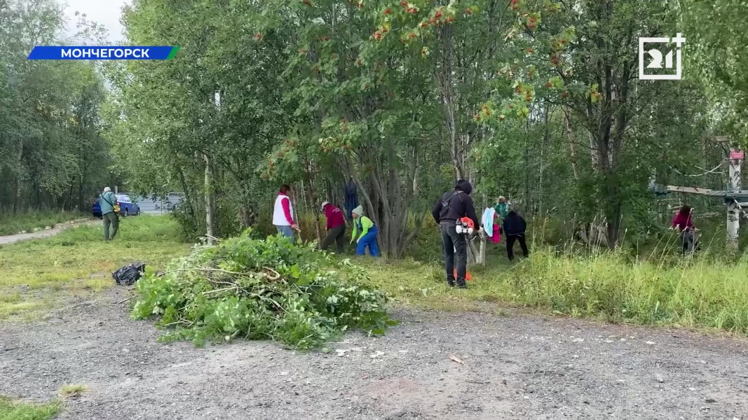 Масштабный экомарафон прошел в Заполярье Природа