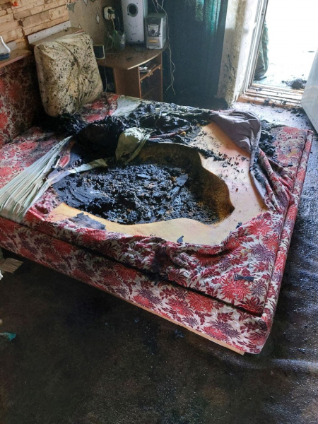 Из пожара в Мурманске спасли собаку Пожар