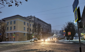Перекупщика из Мурманской области приговорили к 5 годам тюрьмы Мурманск