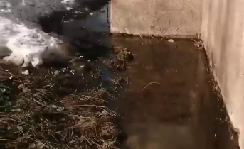 Талые воды