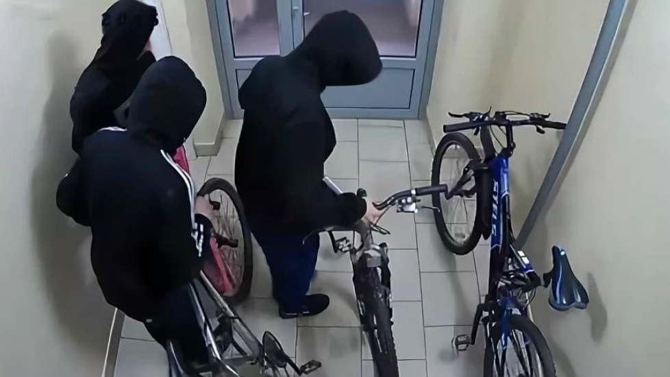 В Мурманской области участились кражи самокатов и велосипедов Люди