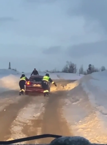 Доброе видео из Мурманской области набирает популярность в соцсетях Помощь