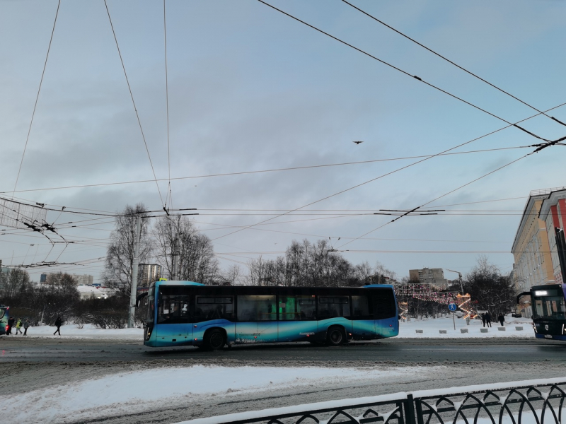 В Мурманской области будут массово останавливать автобусы Автобус