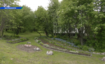 Во дворах Мурманска создают благоухающие оазисы Двор